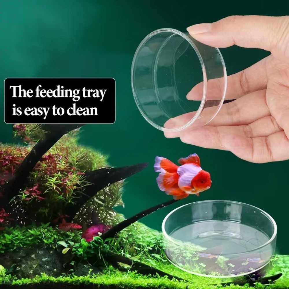 Baby Food Shrimp - Tazón de Alimentación para Acuario de
