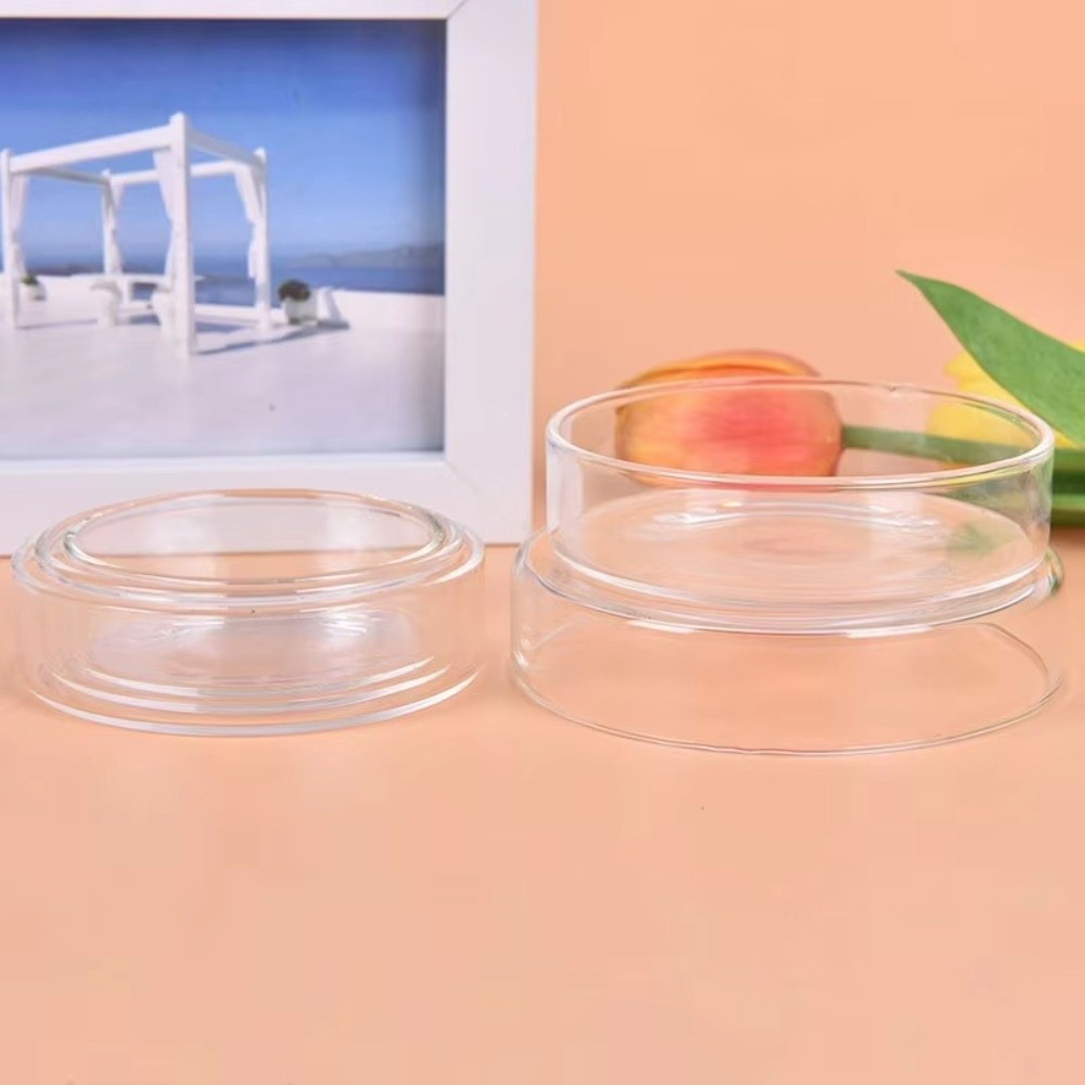 Tazón de Alimentación para Acu - Baby Food Shrimp reseña y precio