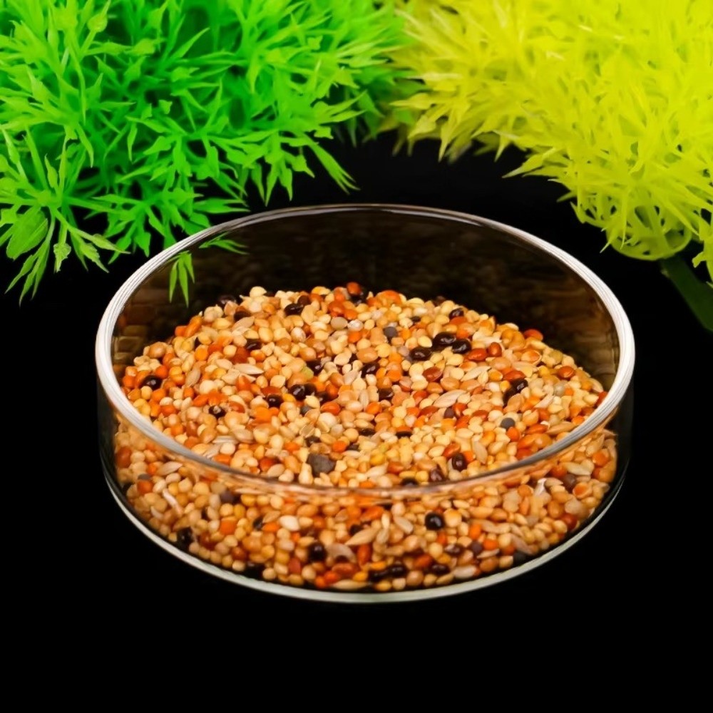 Tazón de Alimentación para Acu - Baby Food Shrimp reseña y precio