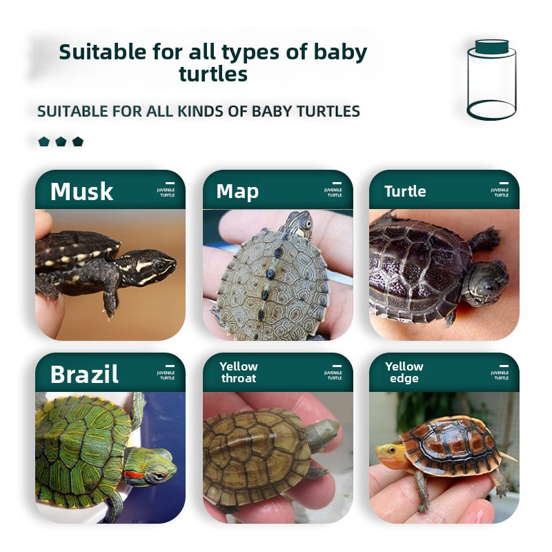BESSN Comida para Tartarugas T - Baby Food Shrimp reseña y precio
