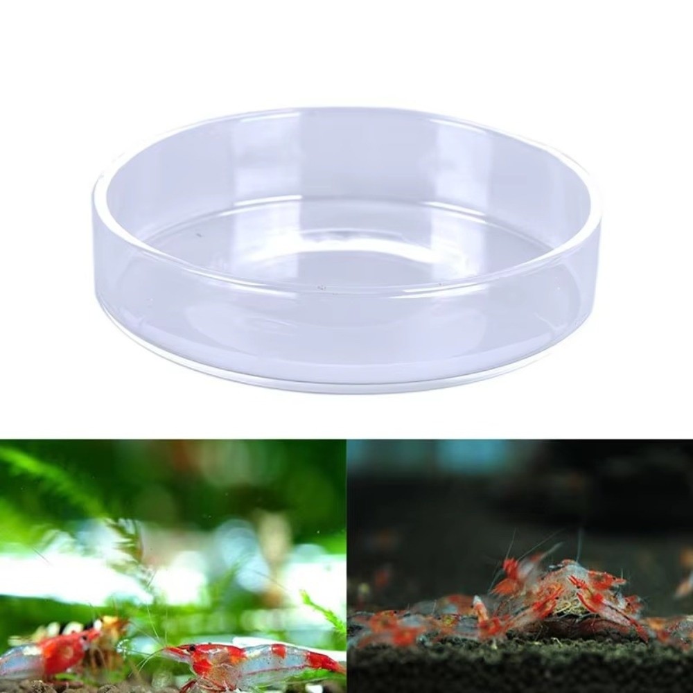 Cuenco de alimentación de acua - Baby Food Shrimp reseña y precio