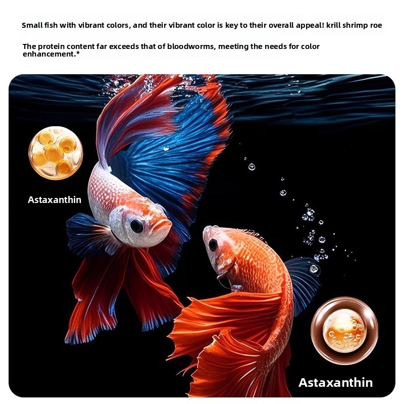 Yee Krill & Baby Shrimp Alimen - Baby Food Shrimp reseña y precio